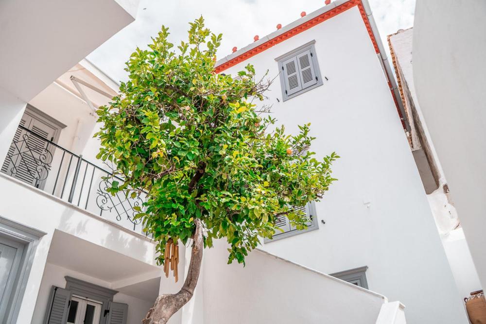 Lemon Tree - Hydra Dream Houses Extérieur photo